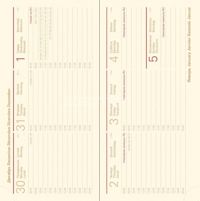 Еженедельник Letts GLOBAL DELUXE IBIZA A6, позолоченный срез, датированный, бургунди