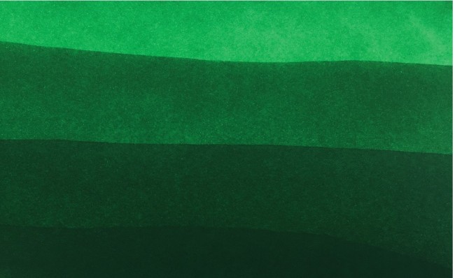 Чернила в банке Herbin Prestige, 50 мл, Vert amazone Зеленый Чернила в банке Herbin Prestige, 50 мл, Vert amazone Зеленый