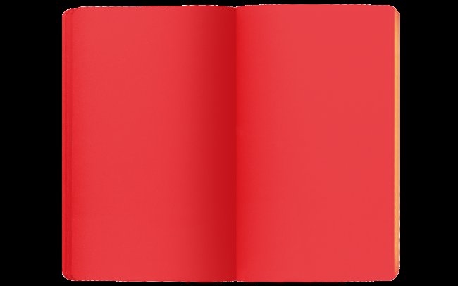 Набор Caran d`Ache Ecridor: ручка шариковая, 2 чернографитных карандаша и 2 записные книжки Набор Caran d`Ache Ecridor: ручка шариковая, 2 чернографитных карандаша и 2 записные книжки