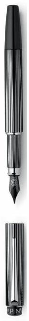 Ручка перьевая Caran d’Ache RNX.316 PVD Black Version