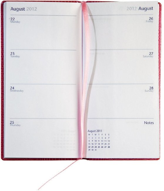 Еженедельник Letts IGUANA, A6, розовый