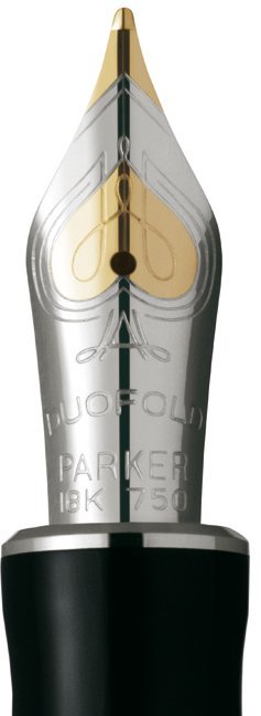 Перьевая ручка Parker Duofold F89, Black PT Перьевая ручка Parker Duofold F89, Black PT