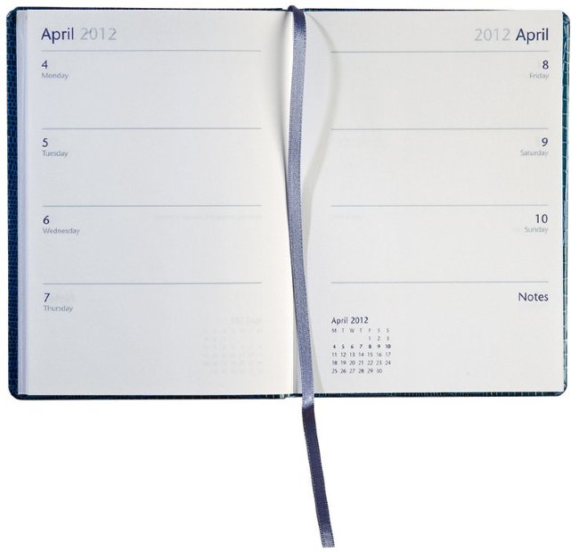 Еженедельник LETTS IGUANA, 148 х 80 мм, голубой