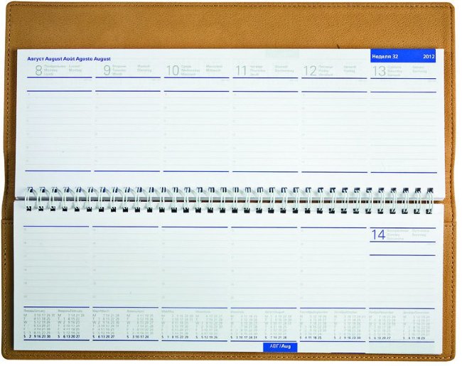 Планнинг LETTS UMBRIA, 320 х 125 мм, коричневый Планнинг LETTS UMBRIA, 320 х 125 мм, коричневый
