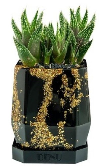 Кашпо для суккулента настольное BENU Aztec Gold BG.02.SEC.01 Кашпо для суккулента настольное BENU Aztec Gold BG.02.SEC.01