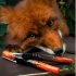 Перьевая ручка BENU Talisman Foxglove