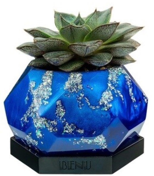 Кашпо для суккулента настольное BENU Nautica BS.03.SEC.02 Кашпо для суккулента настольное BENU Nautica BS.03.SEC.02