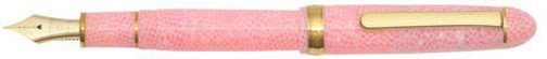 Ручка перьевая Platinum #3776 «Cакура» Sakura