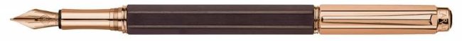 Перьевая ручка Caran d`Ache Varius Ebony PGT
