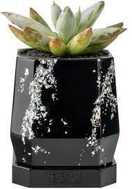 Кашпо для суккулента настольное BENU Silver Storm BL.06.SEC.01 Кашпо для суккулента настольное BENU Silver Storm BL.06.SEC.01