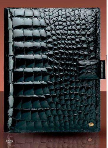 Органайзер Aurora Cocco, черный Органайзер Aurora Cocco, черный