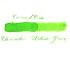 Флакон с чернилами Carandache CHROMATICS Delicate Green (50мл), зеленый