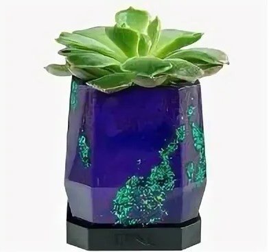 Подарочный набор BENU кашпо для суккулентов Mystery