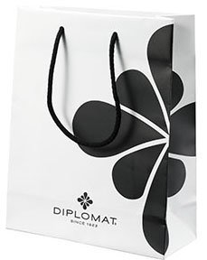 Перьевая ручка Diplomat Excellence A Guilloche Stripes Chrome 