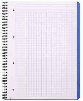 Тетрадь Rhodia 4 Colors Book на спирали, A4+, клетка, с разделителями, 80 г, оранжевый Тетрадь Rhodia 4 Colors Book на спирали, A4+, клетка, с разделителями, 80 г, оранжевый