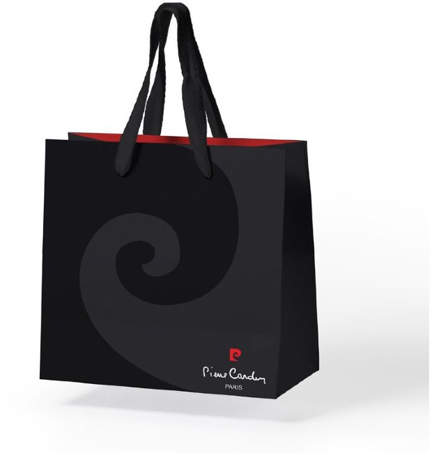 Шариковая ручка Pierre Cardin L'ESPRIT PC6611BP Шариковая ручка Pierre Cardin L'ESPRIT PC6611BP