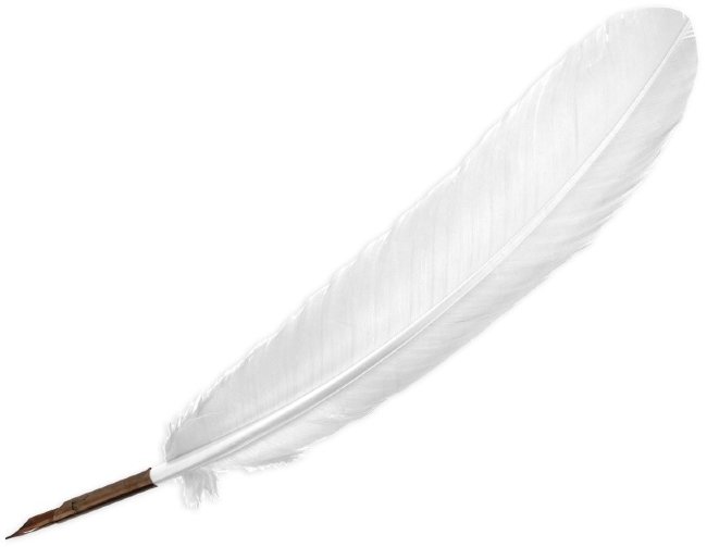 Перо гусиное Manuscript декоративное 27-30см, слоновая кость Перо гусиное Manuscript декоративное 27-30см, слоновая кость