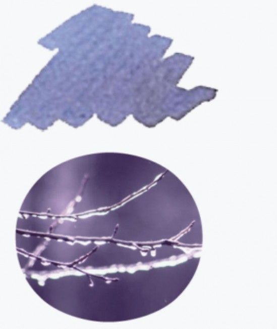 Чернила SAILOR SHIKIORI The Sound of Rain, Potsupotsu, 20 мл