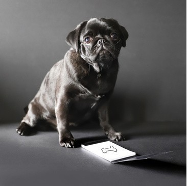 Карманный блокнот Rhodia Pocket Pad, 7,5х12, клетка, 80 г, черный Карманный блокнот Rhodia Pocket Pad, 7,5х12, клетка, 80 г, черный