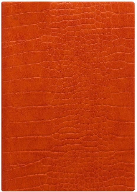 Ежедневник Letts CROC A5, оранжевый Ежедневник Letts CROC A5, оранжевый