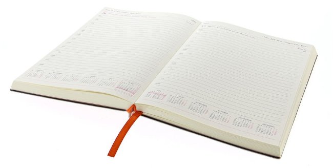 Ежедневник Letts CROC A5, оранжевый Ежедневник Letts CROC A5, оранжевый