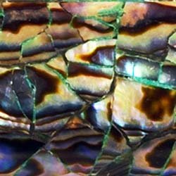 Ручка перьевая Ancora Ravenna (Равенна) Ручка перьевая Ancora Ravenna (Равенна)