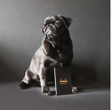 Блокнот Rhodia Classic, 7,5х12, клетка, 80 г, оранжевый Блокнот Rhodia Classic, 7,5х12, клетка, 80 г, оранжевый